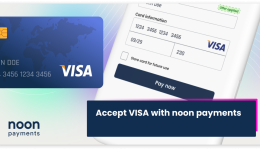 Accept Visa Payments